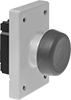 Manual Switches